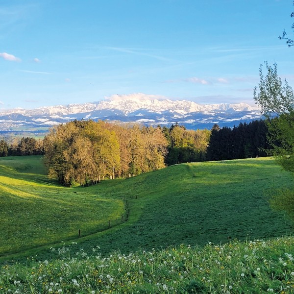 Familiezyt mit Schmaus