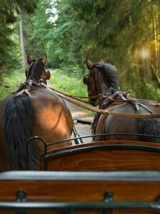 Kutschenfahrt Zeit zu Zweit